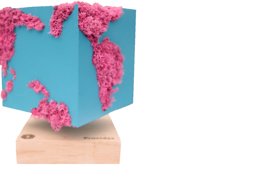 Republiq Duurzaamheidsprijs 2022