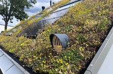 Afbeelding 1 van 15 duurzame ROEF-daken geplaatst - 2024