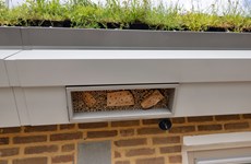 Afbeelding 4 van 15 duurzame ROEF-daken geplaatst - 2024