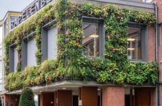 Afbeelding 1 van Groot onderhoud aan Rapelenberg - 2022