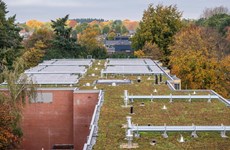 Afbeelding 2 van Groot onderhoud aan Rapelenberg - 2022