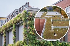 Afbeelding 3 van Groot onderhoud aan Rapelenberg - 2022