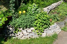 Afbeelding 4 van Gratis Tuinschetsdag – Maak van jouw voortuin een groene oase!