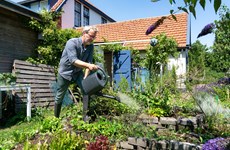 Afbeelding 10 van Gratis Tuinschetsdag – Maak van jouw voortuin een groene oase!